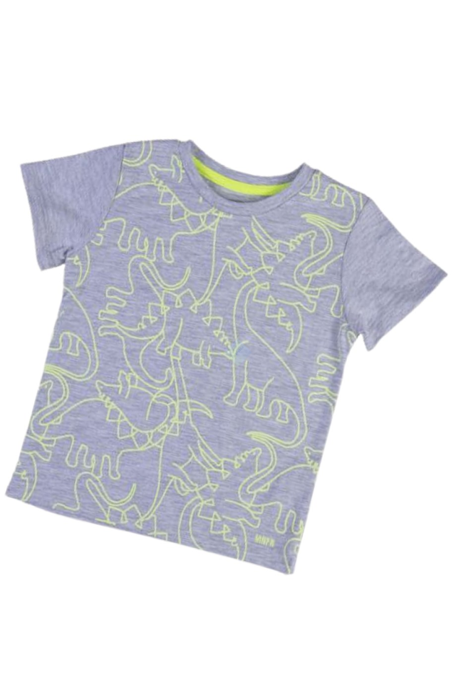 Bebepan Erkek Çocuk Dinosaur Fosforlu Tshirt Gri Renk
