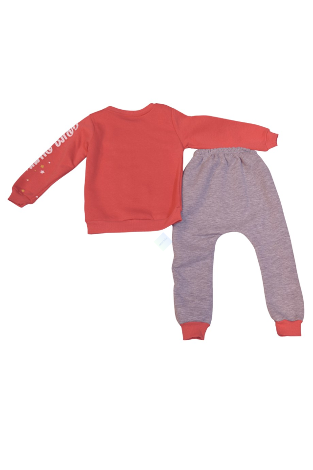 Kız Çocuk Narçiçeği Baskılı Sweatshirt Gri Eşofman Alt Takım 3 ip Şardonlu